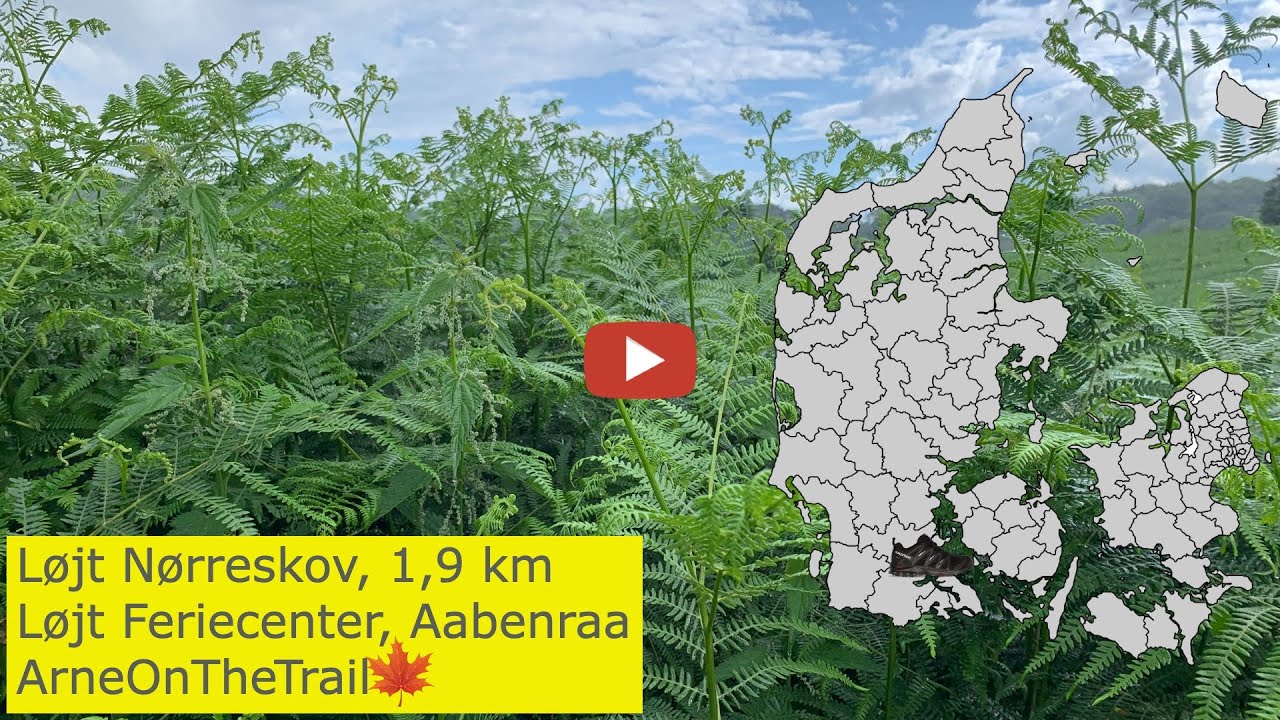 VANDRETUR: Løjt Nørreskov, Aabenraa, 1,9 km (video med rute, billeder og videoklip)