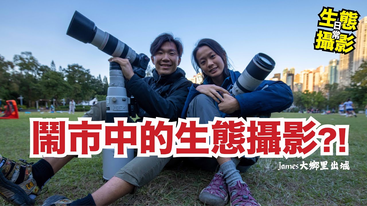 鬧市中的生態攝影?! // James大鄉里出城 | 生態情人 Wildlife Lovers