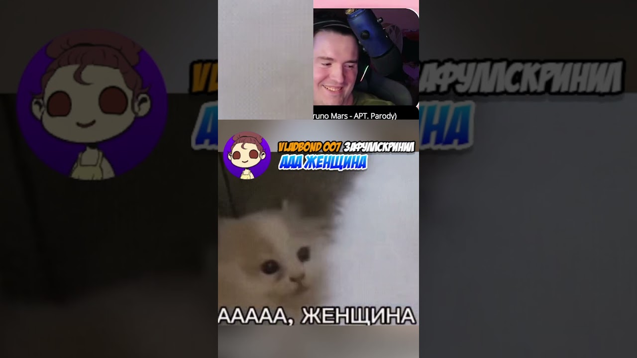 ЖЕНЩИНА! Я ВСЁ СЛЫШАЛА! ДА ДА! | #vovanxik #Twitch #miside