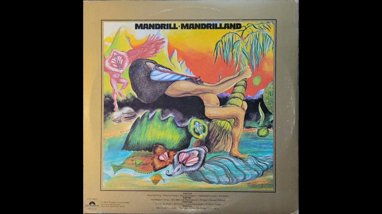 Mandrill - After The Race