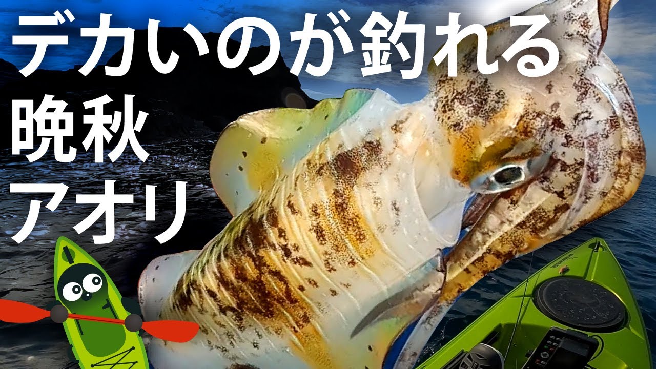 【カヤック・ティップランエギング】秋から冬へ大型アオリイカ探し