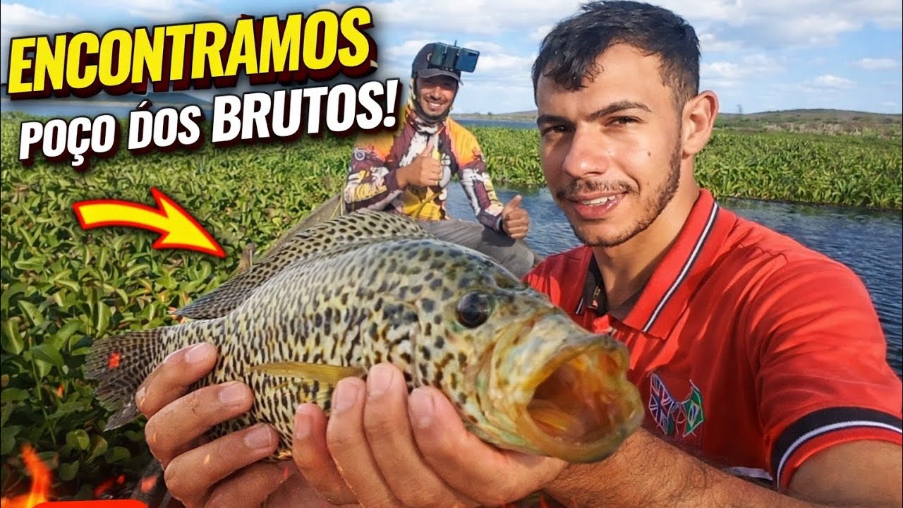 Pescaria em um local escondido no meio da lagoa lá estavam os peixes brutos 