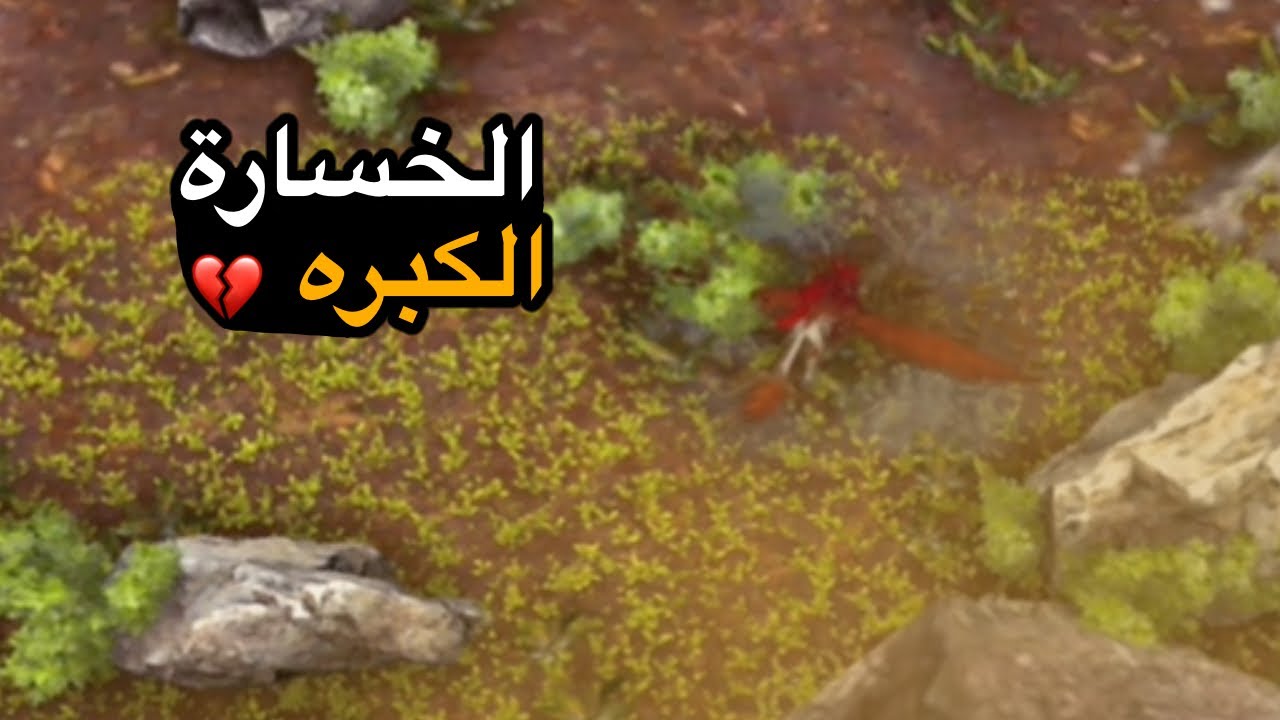 ارك راقناروك موبايل || الحلقة الرابعه(الخسارة الكبره…💔)