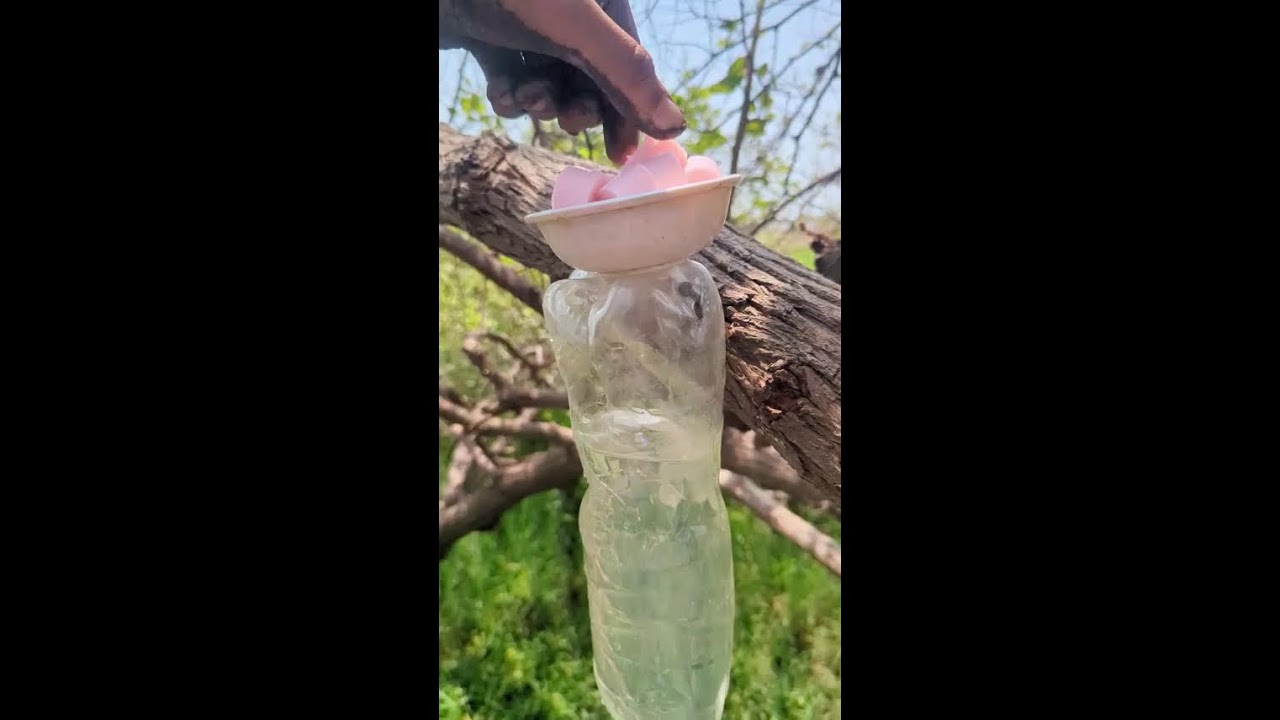 The guy show survival skills Save soap & water Chandan Singh #outdoors #bushcraft #camping