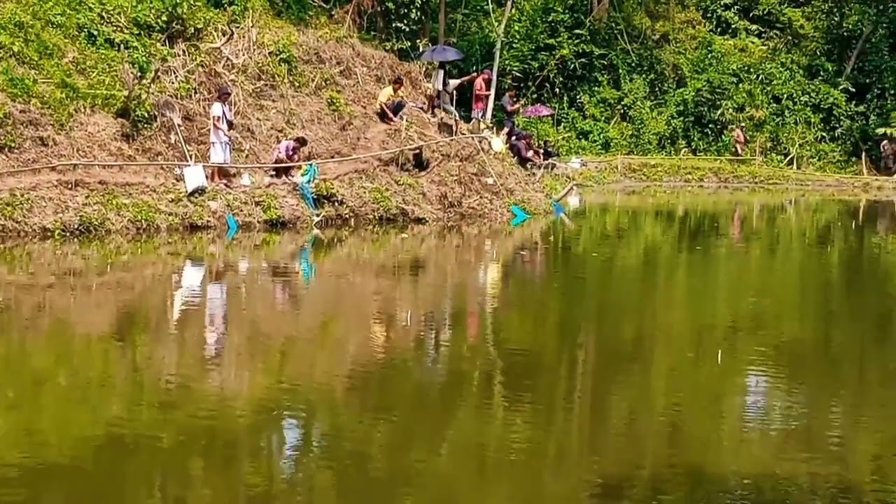 Songma Simsang Milsi Pesusaenga//