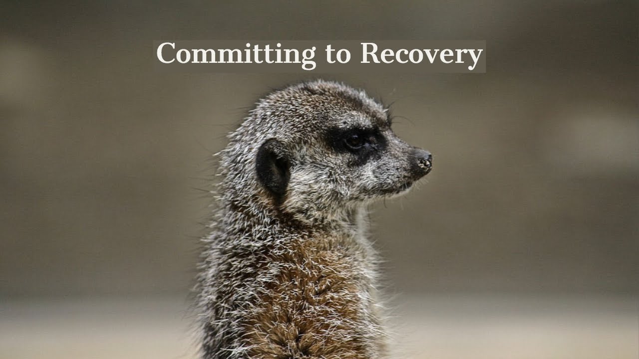 Committing to recovery