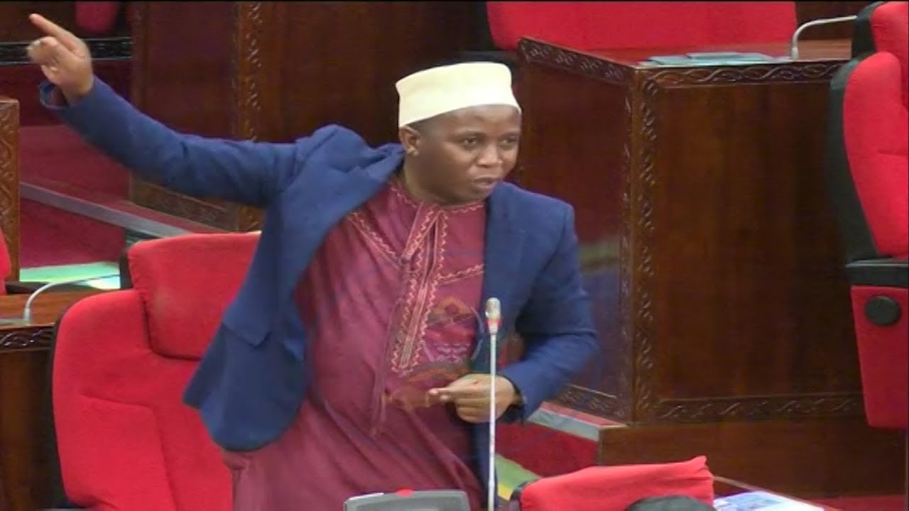 “Mawaziri wetu sijui wanatoa wapi viburi hivi” –Mbunge Shangazi