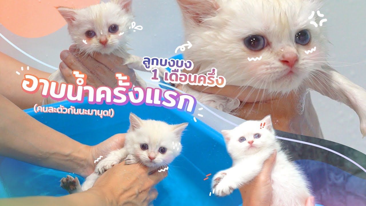 ลูกบงบงครบ 1 เดือนครึ่ง อาบน้ำครั้งแรก