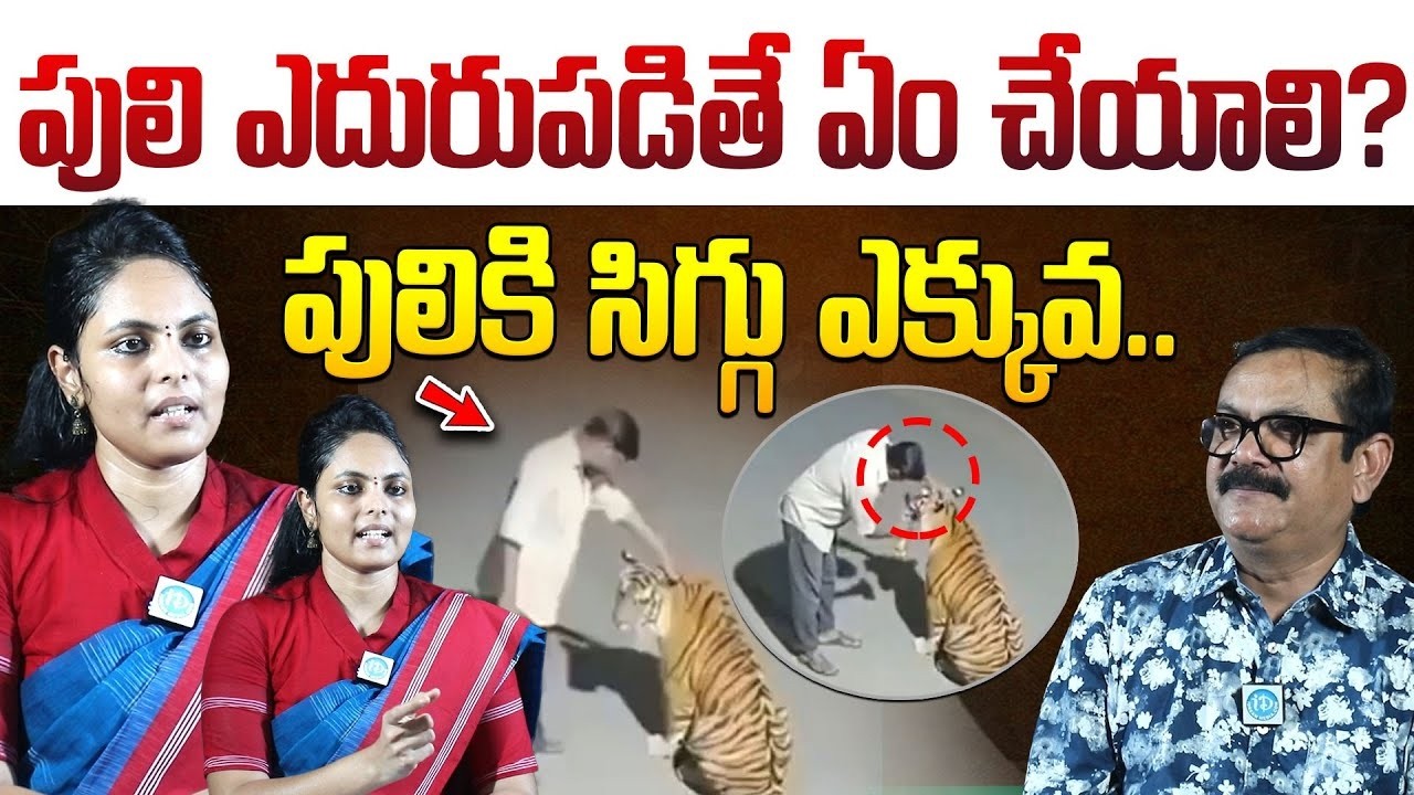 పులి ఎదురుపడితే ఏం చేయాలి | Forest Officer Swetha Boddu Explained How to Survive a Tiger Attack