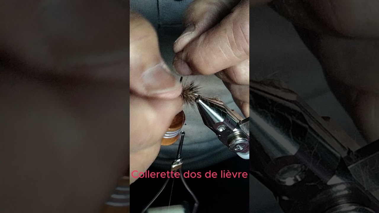 Mouche montage collerette dos de lièvre