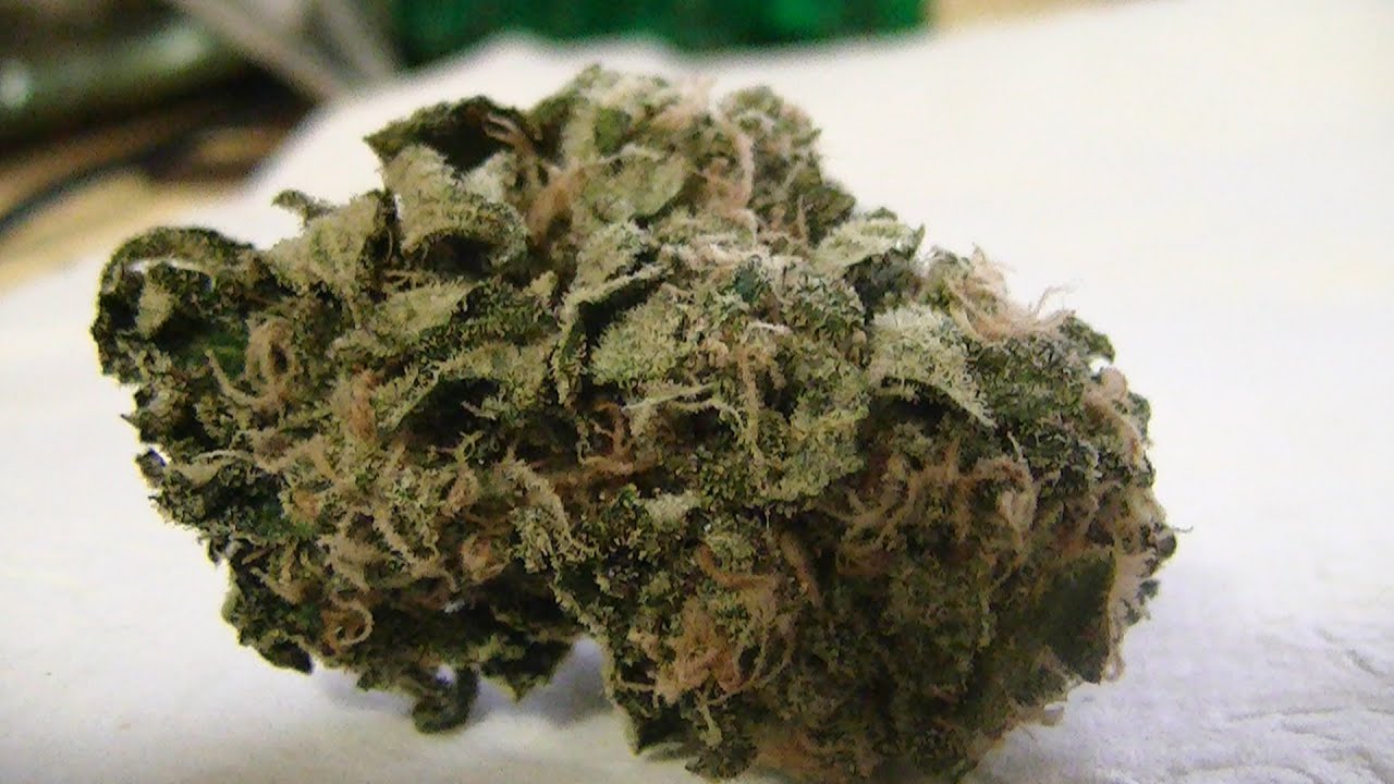 Wake and Blake!  God Bud!