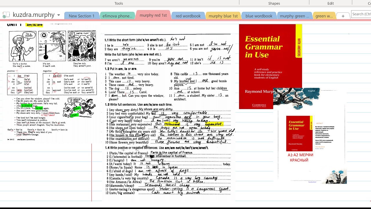 1.2 Essential Grammar in Use. Unit 1. Exercises