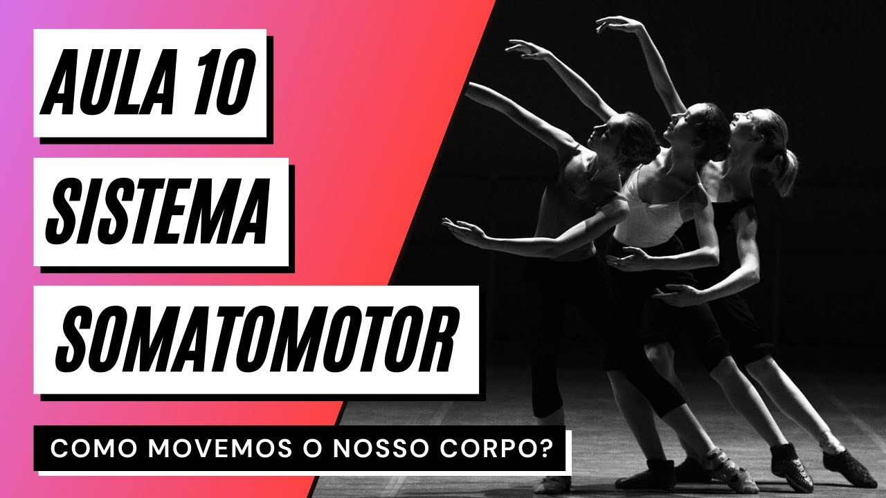 Videoaula 10 Sistema somatomotor (PARTE 1) - COMO MOVEMOS O NOSSO CORPO?