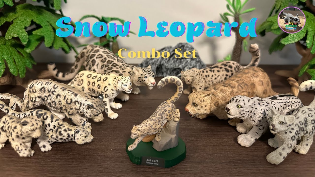Snow Leopard Combo Set (7 Brand) เสือดาวหิมะ 7 ค่าย 🥰