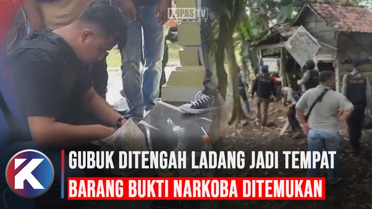 Polisi Gerebek Rumah Bandar Narkoba di Lampung Timur, Satu Orang Dibekuk Tiga Kabur