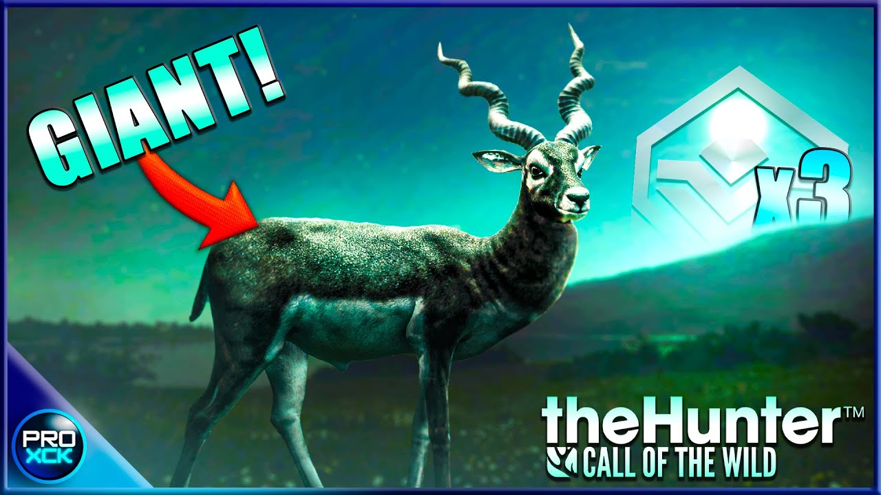 TRIPLE DIAMOND! | Another Epic Grind Begins in theHunter Call of the Wild