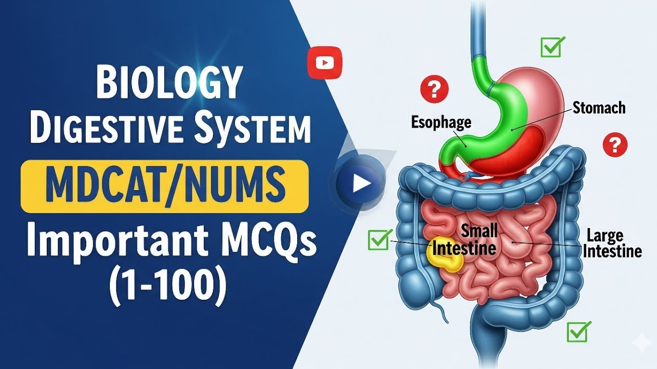 Digestive system | important mcqs (MDCAT/NUMS) 
