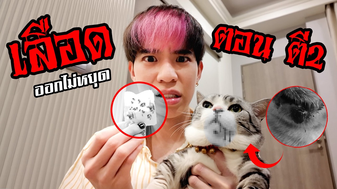 เอสเมอร์ เข้าโรงบาล กลางดึก เพราะเลือดออกปากไม่หยุด
