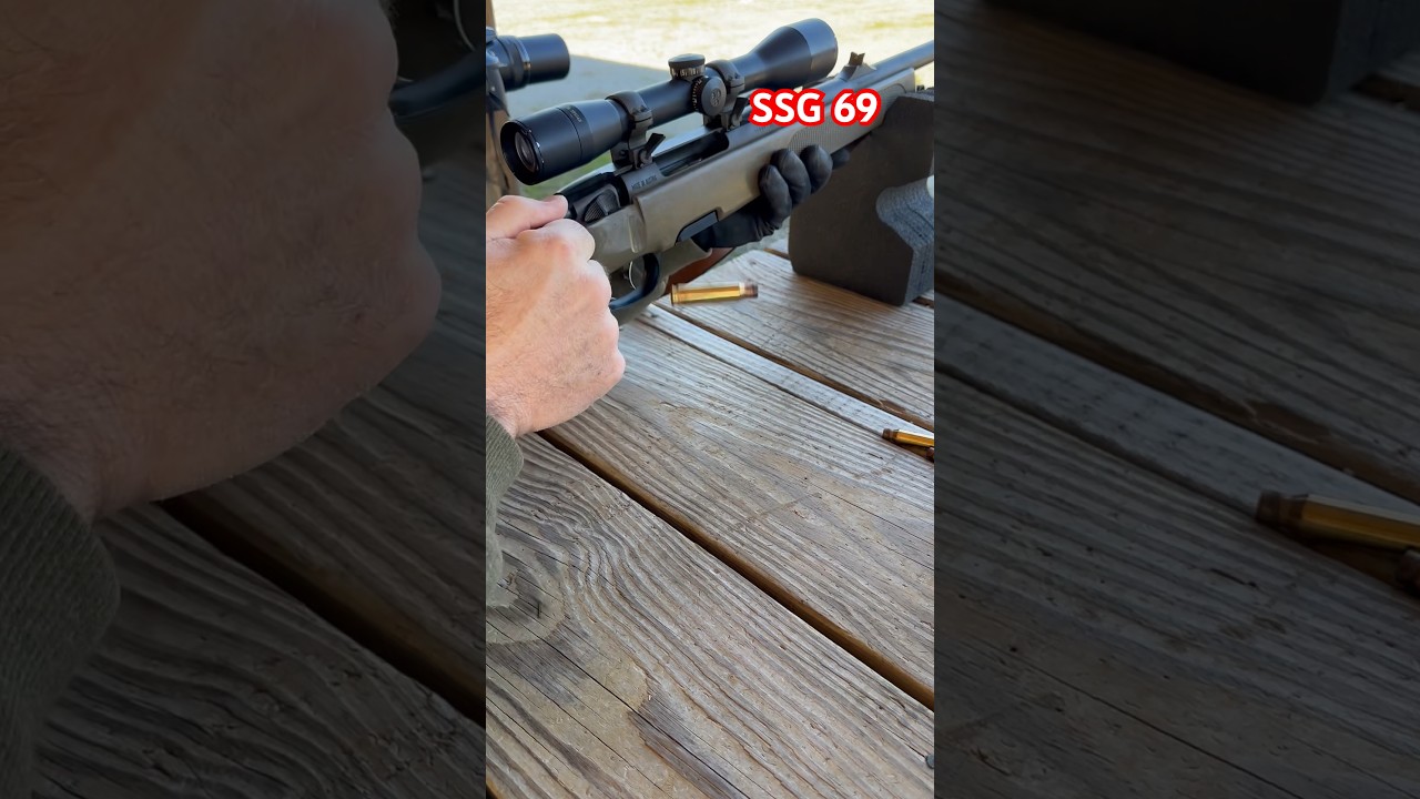 Steyr SSG 69 Accuracy 100 Meters