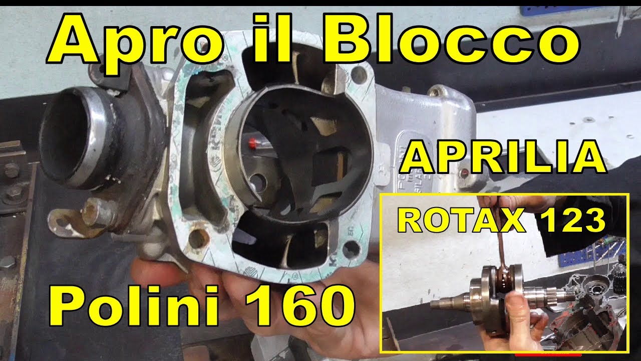 Apro Motore Aprilia Rotax 123 p.2 Polini 160 cc