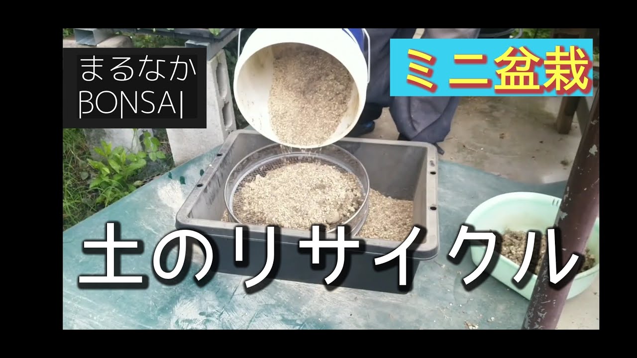 #89  【ミニ盆栽】土のリサイクル　　　　　　【まるなかBONSAI】　　　　　[初心者盆栽講座]　　　　　　　　#BONSAI　#ミニ盆栽　#盆栽　　#超ミニ盆栽　#豆盆栽　#小盆栽　#手のり盆栽
