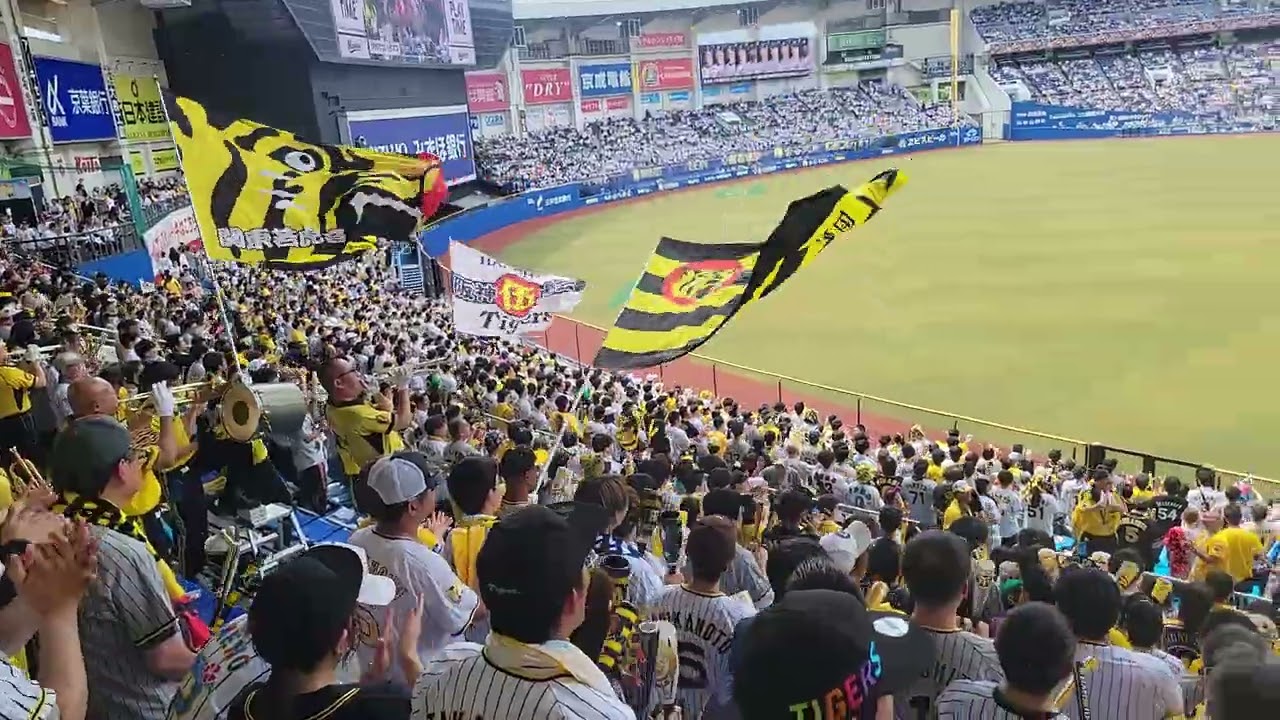 2024/6/2 ZOZOマリン 感動の試合　阪神応援　1-9　突撃4発