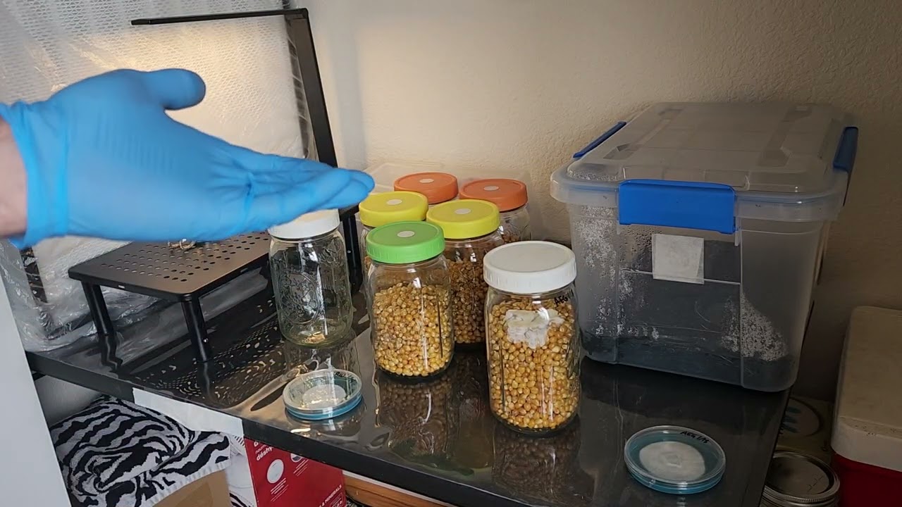 Post-inoculation Overview. Intermediate Skill - Ep. 2.