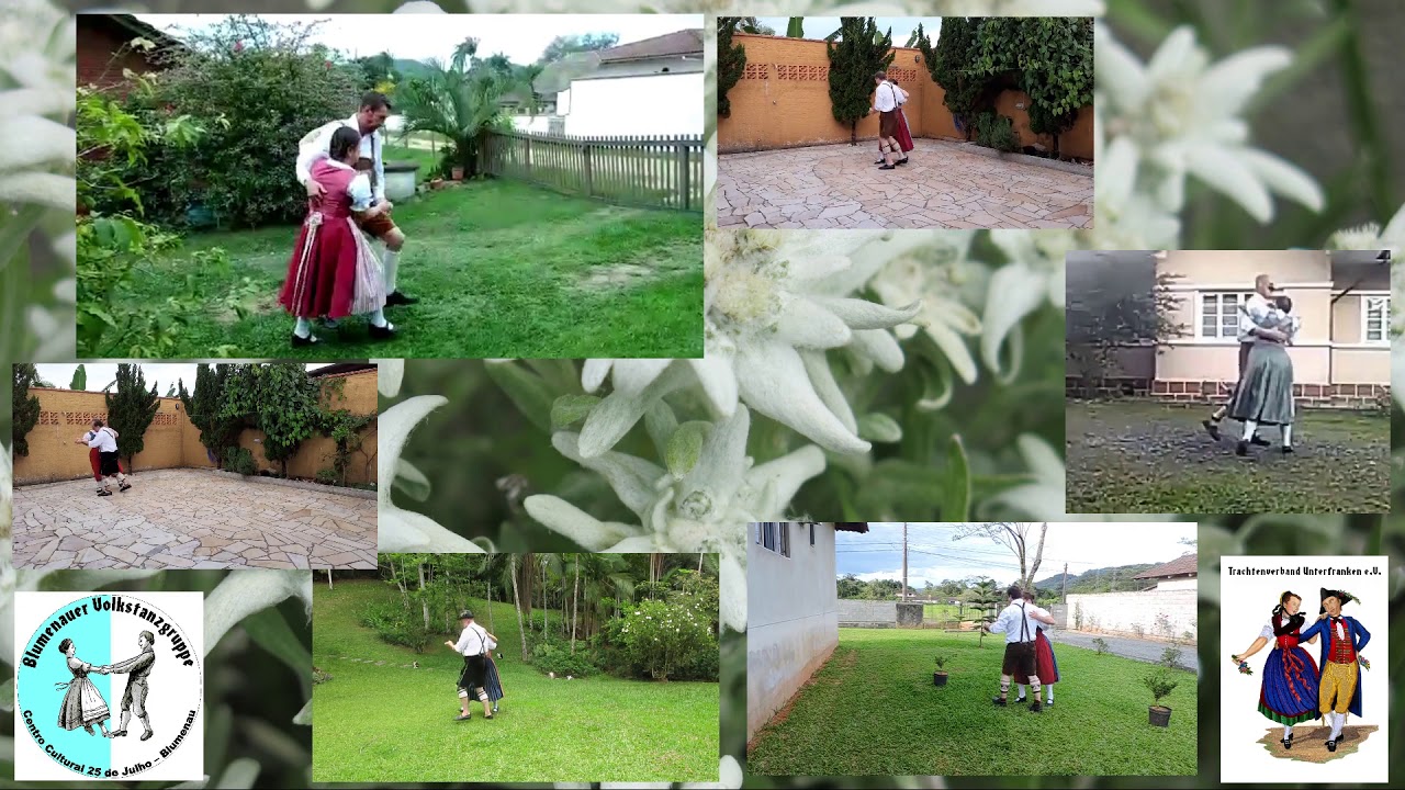 gemütlichen Blumenauer - Austríaco 2020