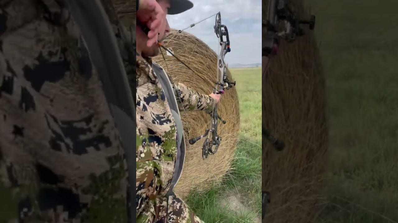 September things 🏹 #antelope #pronghorn #archery #bowhunting #bowhunt #hunting #bowseason #wyoming