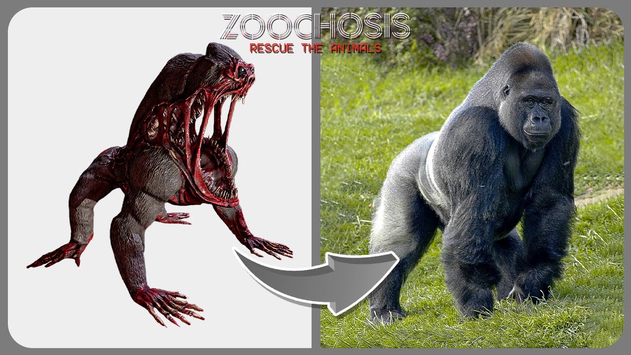 Zoochosis In Real Life | Zoochosis Horror Game | All Character Comparison