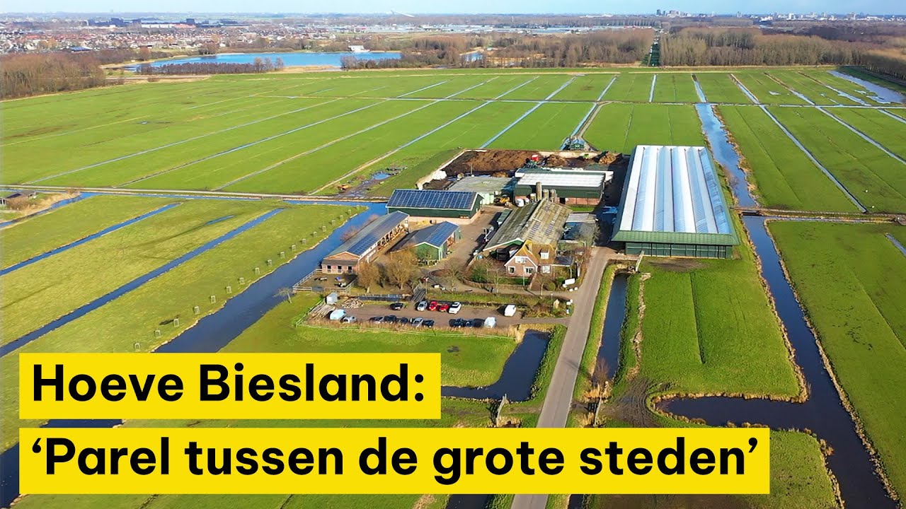Hoeve Biesland: ‘Parel tussen de grote steden’