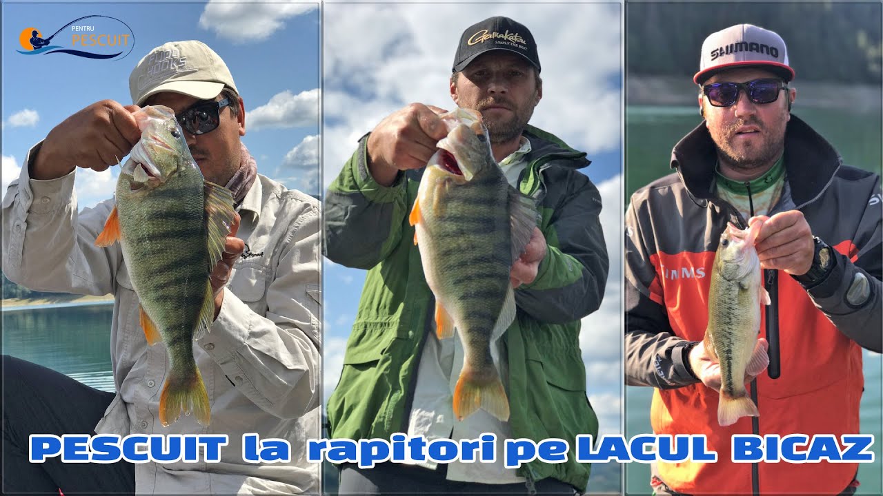 Pescuit la rapitori pe lacul Izvorul Muntelui, Bicaz (bibani 1.07kg/1.22kg/1.33kg + bonus bass)