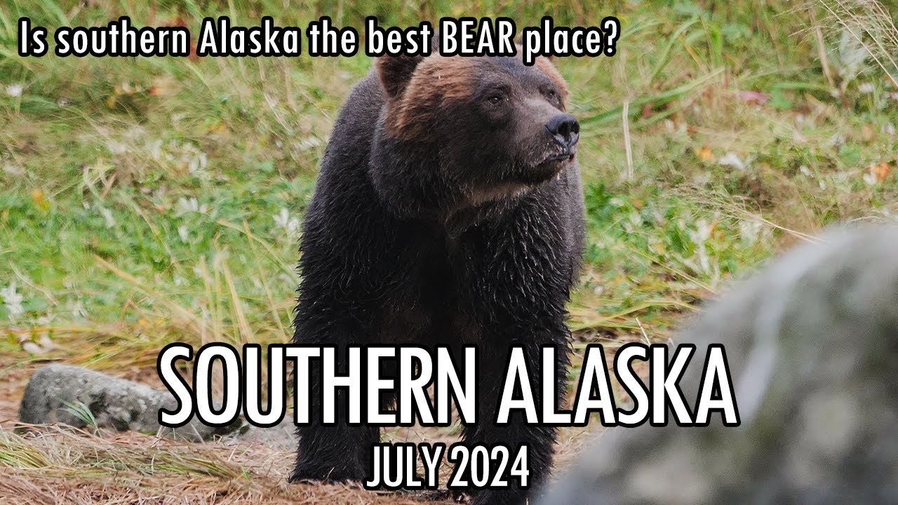 Alaska Road Trip 1: Southern Alaska Adventure – Glaciers, Wildlife, and Epic Hikes