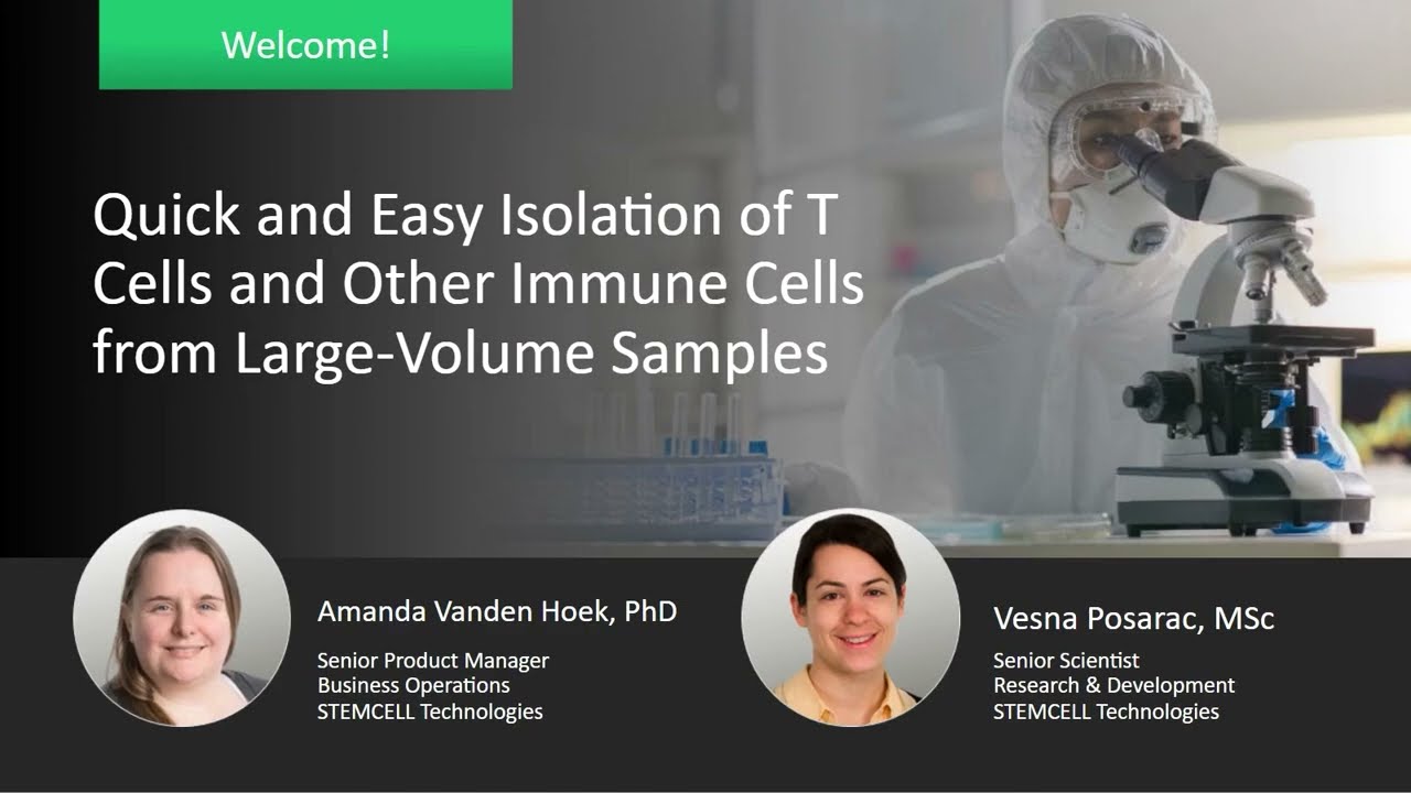 Quick and Easy Isolation of T Cells and Other Immune Cells from Large Volume Samples