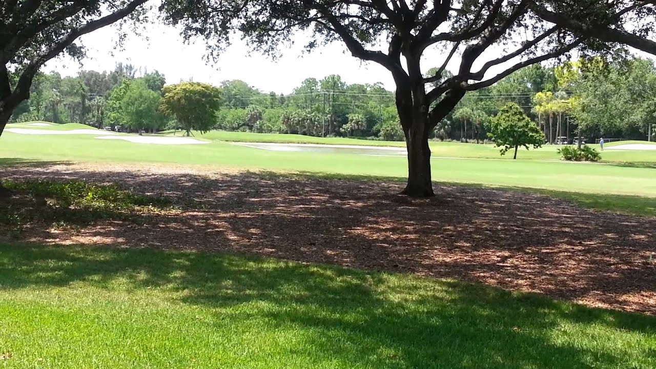 Hard to beat this golf course view!!!