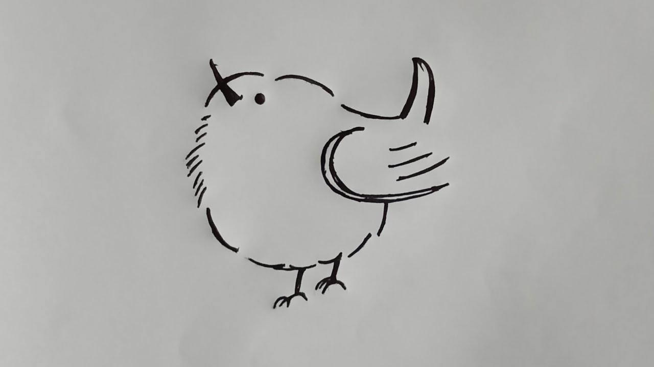 easy and beautiful bird drawing tutorial step by step ✍️🐥