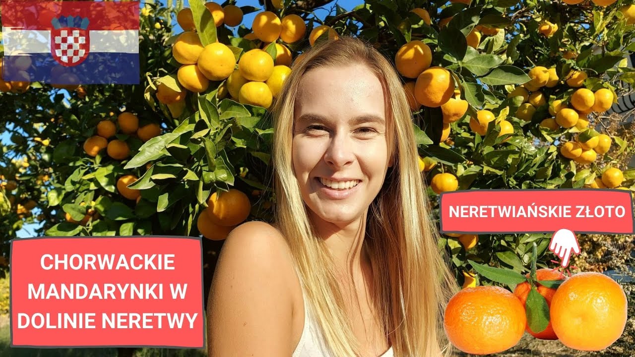 Dolina Neretwy, Chorwacja - pomarańczowy raj pełen mandarynek 🍊