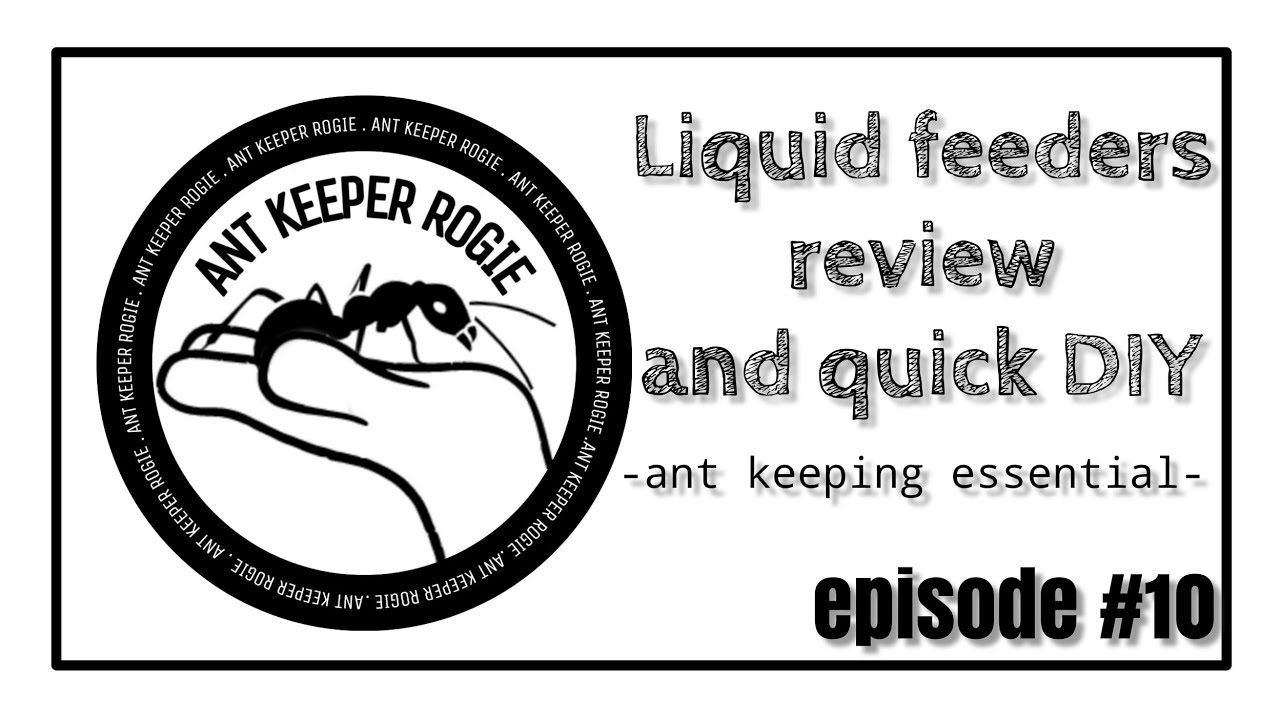 Liquid feeder review and quick DIY