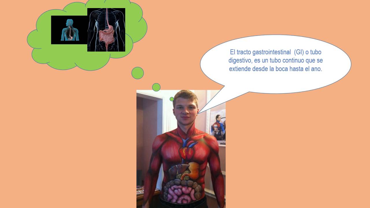 Tracto GastroIntestinal superior