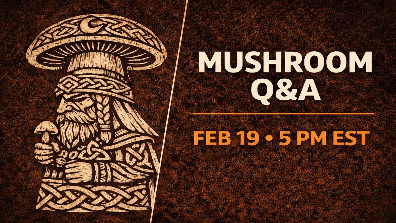 Mushroom Q&A: Bring Your Questions