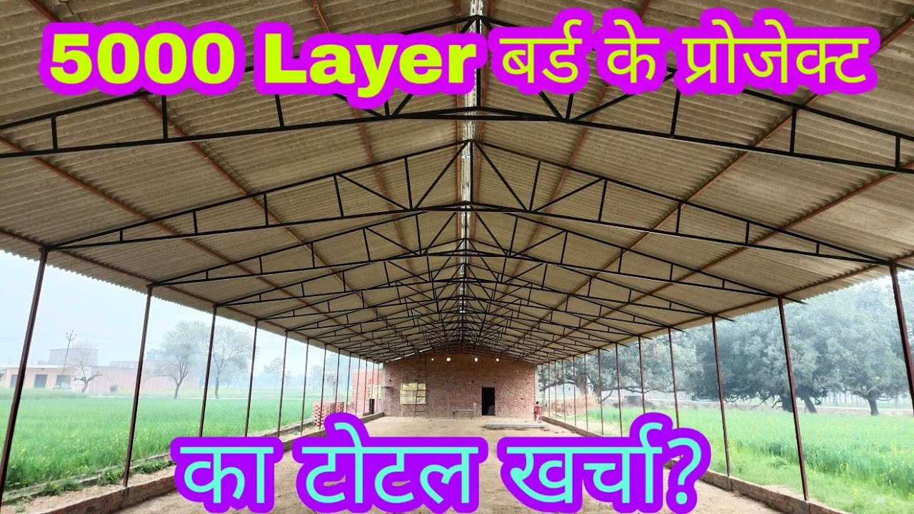 5000 Layer birds capacity shed construction Total Expenses| KS BIOFLOC|