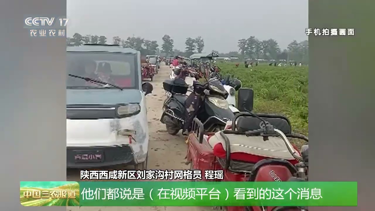 [中国三农报道]陕西西咸新区 &ldquo;千亩辣子可免费采摘&rdquo;？谣言！造谣者受到法律制裁 | 农业致富经 Agriculture And Farming