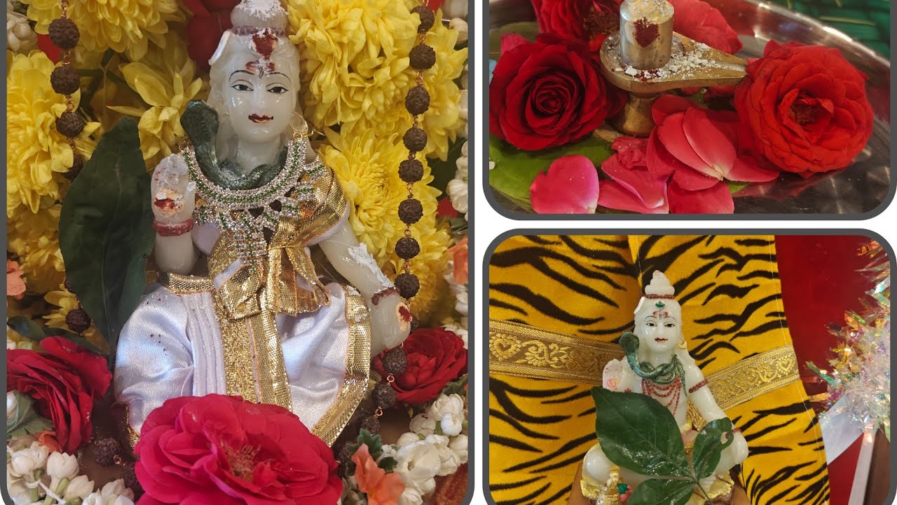  Shivaratri  celebration vibes of 2026 (part -1)
