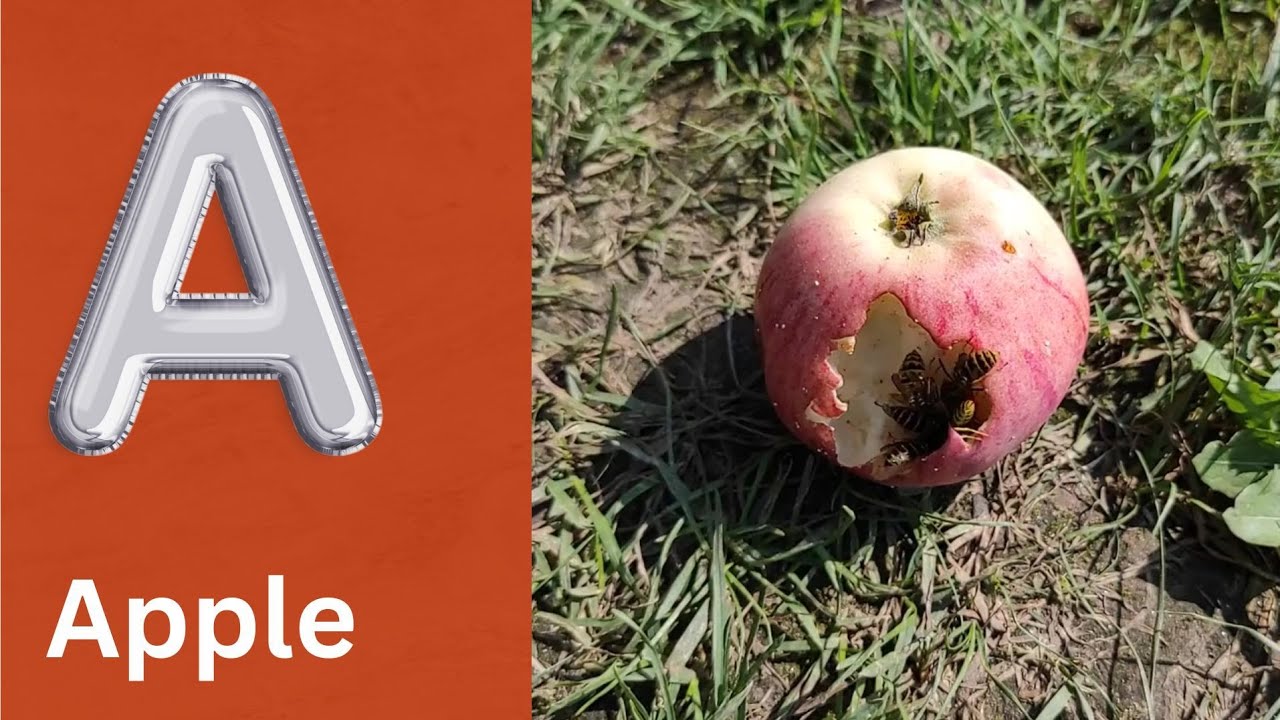 ABC Song Phonics - Toddler Learning Video , A for Apple , Nursery Rhymes , Alphabet song , ABC Song