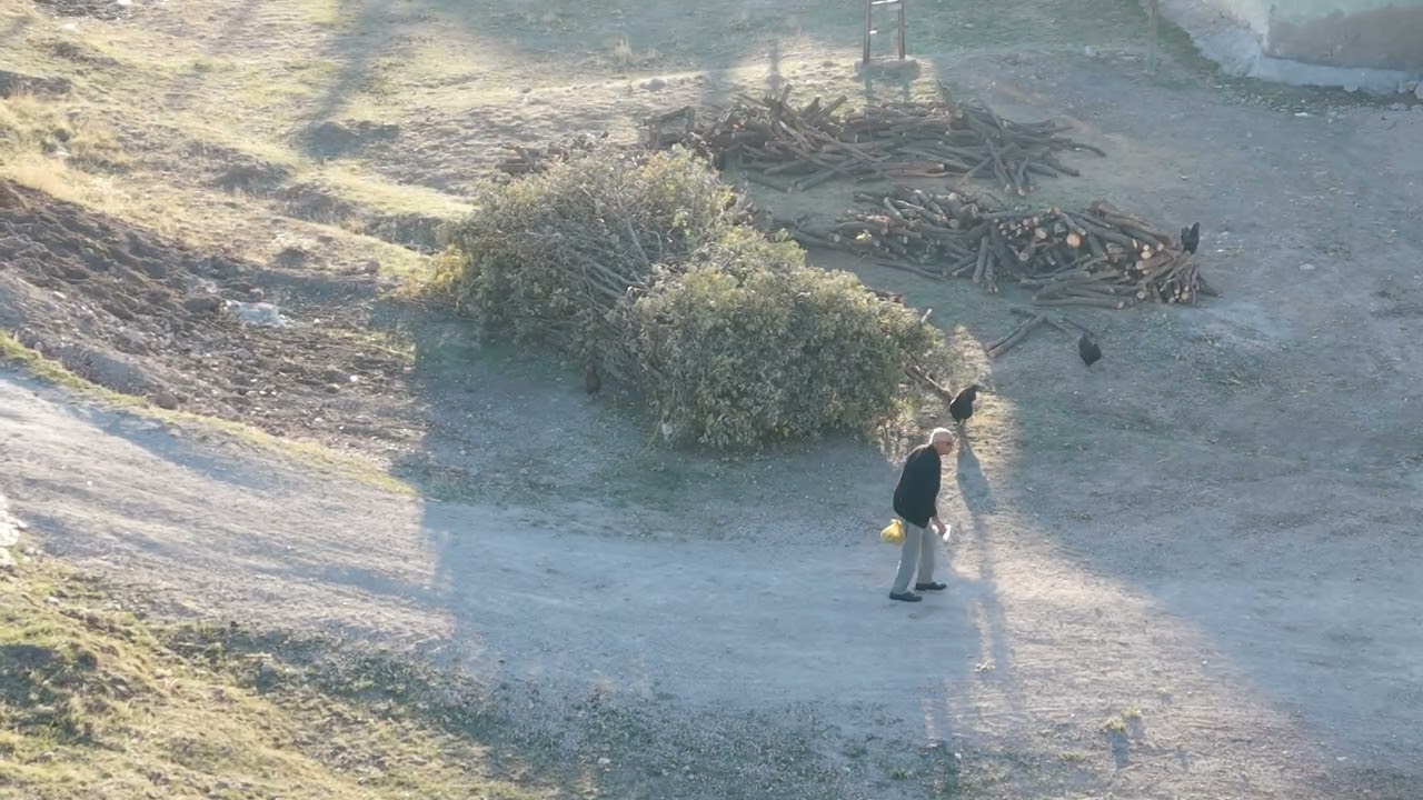 Dayılının Sığırı dağılıyor 