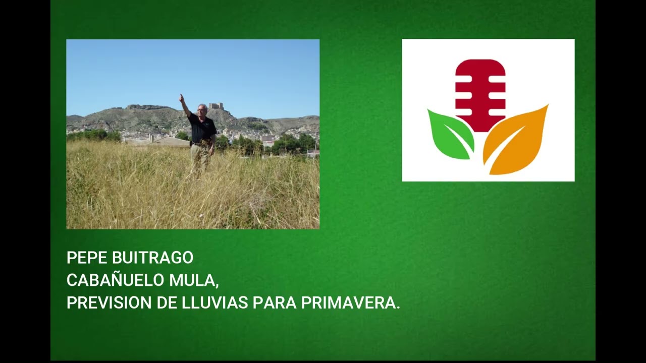 PEPE BUITRAGO CABAÑUELO MULA, PREVISION DE LLUVIAS PARA PRIMAVERA