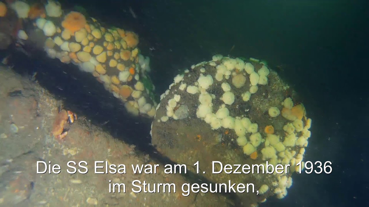 Die Gezeitentaucher: Wracktauchen in der Nordsee