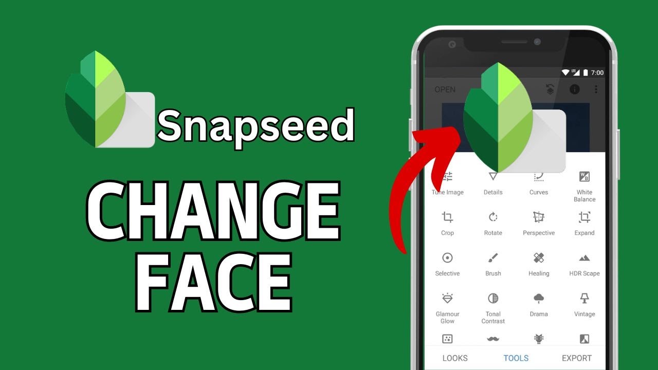 How to Change Face in Snapseed 2024?