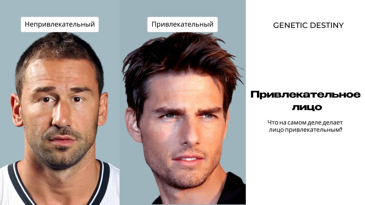 Красота субъективна? Что делает лицо красивым?