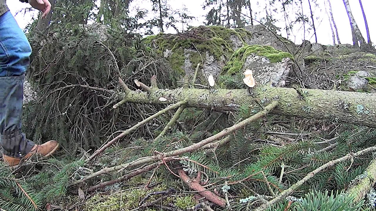 Stromeng KS8 - odvětvování